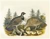 ELLIOT, DANIEL GIRAUD. A Monograph of the Tetraoninae, or Family of the Grouse. 1865